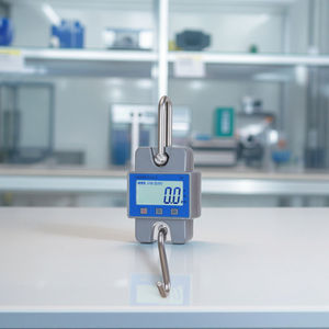 30 किलो 300 किलोग्राम मिनी प्रकार का वाटरप्रूफ डिजिटल वायरलेस क्रेन वजन पैमाने 150 किलोग्राम के साथ इलेक्ट्रॉनिक फांसी स्केल - Product Image 5