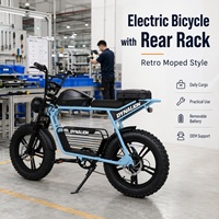 Vélo électrique avec porte-bagages arrière, style cyclomoteur rétro, pour concessionnaires, fournisseur OEM, commande en gros, approvisionnement direct usine, acheteurs B2B