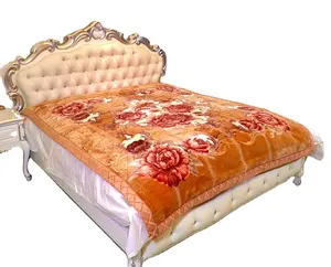 Letto matrimoniale 2023 di vendita caldo buon prezzo coreano Raschel coperta invernale Super morbida visone reale coperta per l'inverno