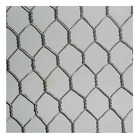Grillage hexagonal galvanisé et revêtu de PVC pour poulailler, 5,6 kg, services de cintrage et de découpe, fil de fer à faible teneur en carbone anti-corrosion