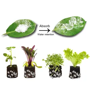 SOCO Biodegradable 10 + निर्माता नि: शुल्क नमूने बहुलक Polimetro Absorvente Agriultura Poliacrilato डे Potasio