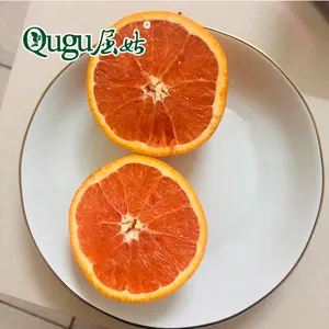 Navel halb rotes Frucht fleisch orange