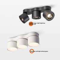 Spot résidentiel moderne super lumineux à angle réglable à LED Éclairage sur rail commercial Cob Petits spots encastrés au plafond