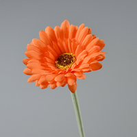 Bunga Daisy Buatan, Krisan Champagne, Gerbera Palsu, Bunga Sutra untuk Dekorasi Rumah & Pernikahan