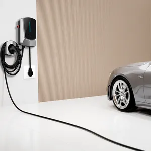 뜨거운 판매 제조업체는 전문 기술 안내를 통해 전기 자동차 충전소를 직접 판매합니다.