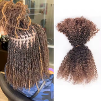 Vente chaude 100% cheveux humains en vrac 100g Double dessiné en gros Afro crépus en vrac cheveux humains pour le tressage