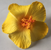 Fleur d'hibiscus en mousse pour filles Noël Halloween Graduation Fête des Mères Hawaiian Island Rainforest Luau Party Theme