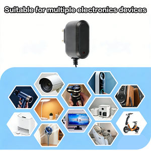 US Plug Phone Charger 100-240V AC DC 10w 5v 2a Wall Mount <strong>Adapter</strong> 10w <strong>Usb</strong> Type-c Power <strong>Adapter</strong> - Product Image 6