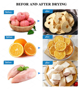 Máquina de Liofilização para Café Instantâneo - Product Image 2