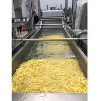 Volautomatische Aangepaste Chips Franse Bevroren Aardappel Frietjes Maken Productie En Verwerking Lijn