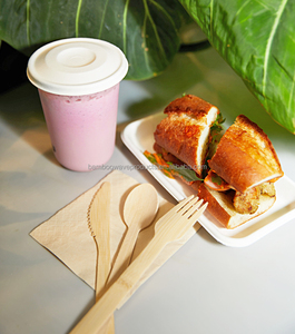 Trung Quốc Nhà máy tùy chỉnh 100% compostable Bộ đồ ăn dùng một lần Kit bán buôn Nature tre thiết lập dao kéo - Product Image 4