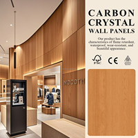 Panneaux muraux en feuilles de cristal de carbone, ignifuges, imperméables, design européen moderne, utilisation domestique et en salle de sport, installation rapide et sans joint.
