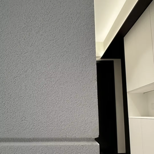Vernice Liquida Acrilica Industriale per Pareti a Base d'Acqua Marca BEXISYA, Arte Murale Argentite Rustica Contemporanea per Portare <span class=keywords><strong>la</strong></span> Natura a Casa - Product Image 6