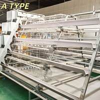 VENTE FLASH Cage à poulets entièrement automatique de type A de haute qualité pour l'alimentation des animaux