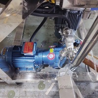 Homogénéisateur sous vide en acier inoxydable 316 de qualité alimentaire émulsifiant homogénéisateur sous vide à chauffage électrique mélangeur pour la fabrication de mayonnaise