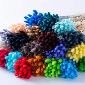 Queues de lapin naturelles colorées en fleurs séchées, Lagurus Ovatus, herbe de la <span class=keywords><strong>pampa</strong></span> naturelle, queues de lapin préservées - Product Image 2