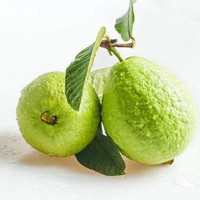 Premium Natuurlijk Sugava Fruitpoeder & Sappoeder Voedingsmiddelkwaliteit Oplosmiddelextractie Fruitextract met Vitamine