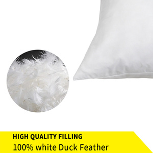 Wholesale White Goose Down Feather Decorative Throw <strong>Pillow</strong> Insert Square Fluffy <strong>Euro</strong> <strong>Pillow</strong> Cushion Insert - Product Image 5