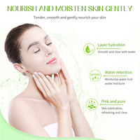 Vente populaire concombre fruité masque facial bio rafraîchissant fort hydratant éclaircissant ferme réparateur soins du visage pour unisexe