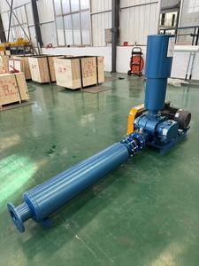 Soplador de Aire Rotativo de Lóbulos de 10hp con Accionamiento Directo de Fábrica, Bomba de Vacío de Tres Lóbulos Tipo Roots de Alto Rendimiento - Product Image 2