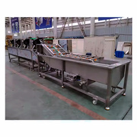 Aloë Vera Sla Druif Cactusvijg Ananas Bosbessen Draak Fruit Wasmachine Voor Snacks Schoon Avocado
