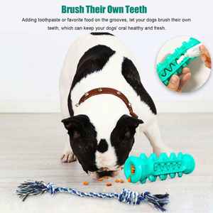 Vente chaude Jouet à mâcher pour chien en TPR écologique moderne, jouet anti-fuite pour nourriture pour animaux de compagnie, bâtonnet à mâcher, nettoyage des molaires, brosse à dents - Product Image 4