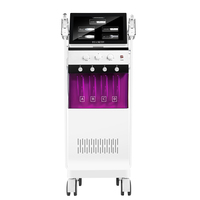 Appareil facial professionnel Aqua Peel pour le nettoyage en profondeur des pores, la régénération de la peau, l'oxygénation et les petites bulles, pour usage en salon