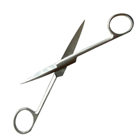 Ciseaux chirurgicaux vétérinaires professionnels en acier inoxydable de 160 mm pour clinique vétérinaire, chien, chat, outil médical, ciseaux droits et tranchants