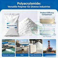 Produit phare : Floculant liquide de coagulation à haute pureté pour le traitement des eaux usées, mélange chimique PAC/PAM (polyacrylamide) pour l'industrie sucrière
