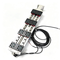 Module à pas variable, module linéaire à pas réglable entraîné par servo, unité de glissement d'arbre à cames pour l'empilage de cellules de batterie