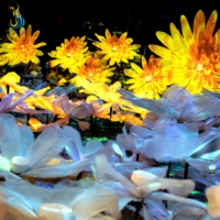 Anpassbare Traumhafte Blumen-Chinesische Laterne Handgefertigte Wasserdichte Festival-Laterne für Garten- und Parkdekoration bei Nacht