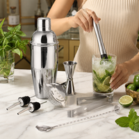 Ensemble de shaker à cocktails en acier inoxydable 9 pièces avec doseur, passoire, pilon, becs verseurs, kit de barman professionnel