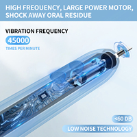 T14 brosse à dents brosse à dents électrique 45000VPM 5 Modes minuterie intelligente 8 tête de remplacement de qualité IPX7 ensemble de voyage Rechargeable Durable