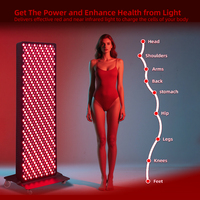 Appareil de luminothérapie infrarouge sur pied REDSKY personnalisé, 700 LED, 660 nm/850 nm, 3500 W, panneau corps entier, prise US