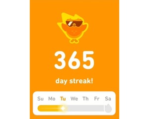 Duolingo Super Premium 1 an - Votre propre compte vous permet d'<span class=keywords><strong>apprendre</strong></span> une nouvelle langue à tout moment et <span class=keywords><strong>en</strong></span> tout lieu - Product Image 3