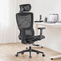 Milieu Du Dos Support Lombaire Fauteuil Visiteur Personnel De Travail Exécutif Ergonomique Chaise De Bureau