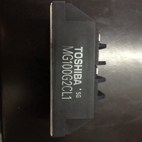 Module IGBT MG100G2CL1