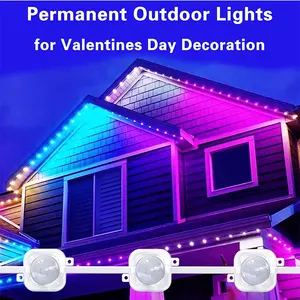 Permanent Christmas Track Lights 30mm RGBW UCS2904 LED Pixel Light Ip67 Outdoor Waterproof Pixel Led Point Pight Source