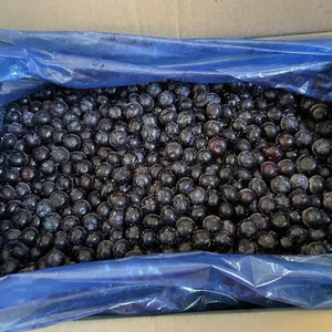 Bayas Congeladas IQF Chinas al por Mayor, Arándanos Congelados IQF para Exportación a Buen Precio - Product Image 4
