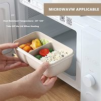 Boîte à Bento en paille de blé, récipient alimentaire biodégradables avec tasse, boîte à Lunch, meilleure vente