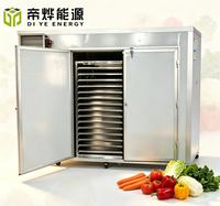 Industriële commerciële, goed verkopende, nieuwe functionele mango/aardbei/banaan/walnoot/fruit/noten warmtepomp droogmachine