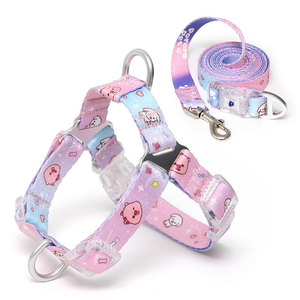 Ensemble Harnais et Laisse pour Chien PororoPet Loopy, Réglable, Respirant, en Maille, avec Bretelles Croisées au Dos - Product Image 1