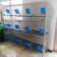Meilleures ventes Nouvelle cage d'élevage de lapins de type H à 3 niveaux avec une longue durée de vie 2x0.5x1.75m Sol en plastique pour utilisation à la ferme