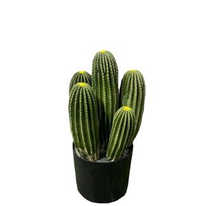Los fabricantes suministran adornos de decoración de muebles de estilo nórdico imitación planta verde PU poste <span class=keywords><strong>cactus</strong></span> - Product Image 4
