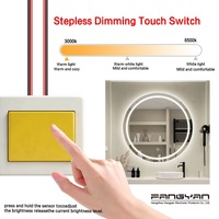 Miroir de salle de bain LED avec interrupteur tactile, DC12V 24V, gradation CCT, anti-buée, contrôle de mémoire pour miroir intelligent