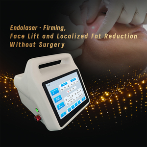 Láser Endolift Portátil de 980nm de Alta Potencia para Terapia Física, Eliminación de Hongos <span class=keywords><strong>en</strong></span> las Uñas, Máquina Láser Endolift - Product Image 4
