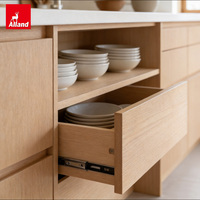 Armoires de cuisine en bois massif Alland, panneaux mats beiges chauds, doux et crémeux, style minimaliste, pour projets de rénovation d'appartements