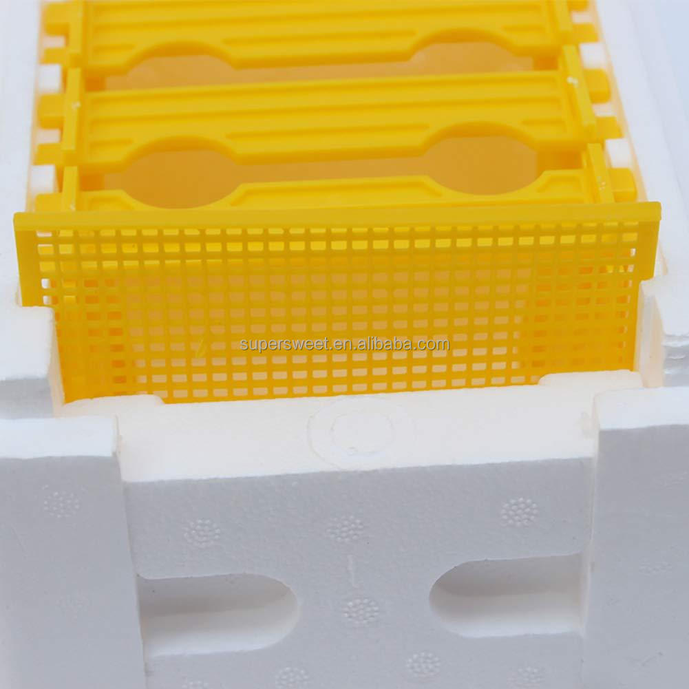 البلاستيك التزاوج النوافذ النحلية صناديق تربية النحل القصيرة الرغوة البوليستيرين صناديق النحل مجموعة بداية تربية النحل التزاوج ESP