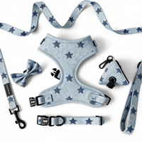 Ensemble Harnais et Collier pour Chien en Jean Imprimé, Réglable, Respirant, Rembourré, Anti-Traction, avec Logo Personnalisé, pour Chiots et Chiens de Petites, Moyennes et Grandes Tailles