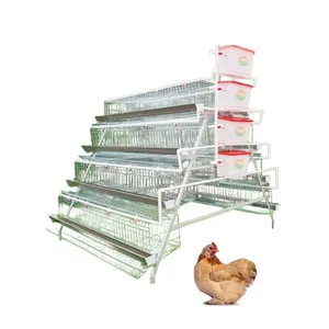 L'équipement d'élevage le plus vendu pour les élevages de poulets élevant 30000 poulets Cage à poulets de type A